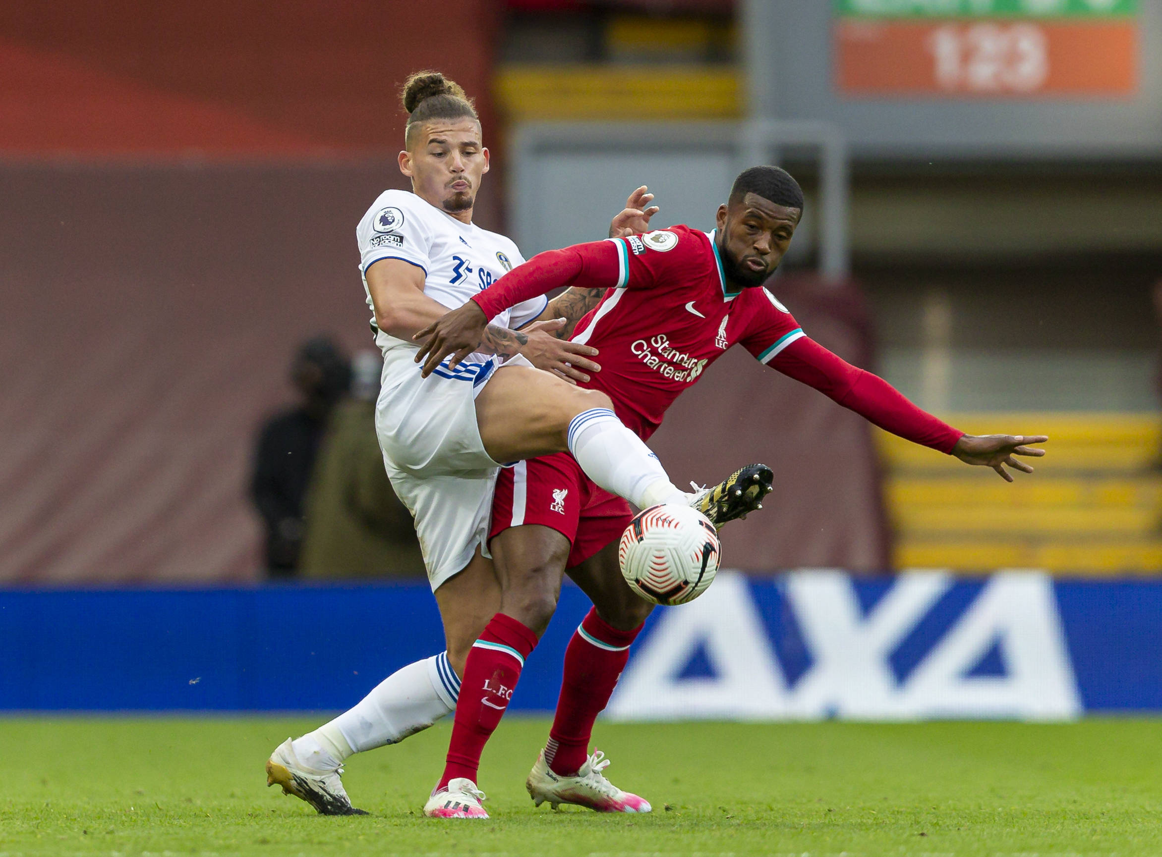 约基奇不仅 约基奇不仅