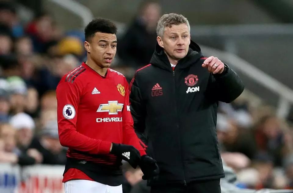 在球场上 在球场上